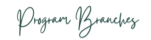 program branches