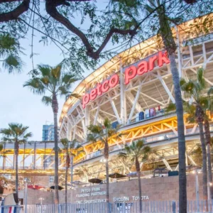 Night at the Ballpark