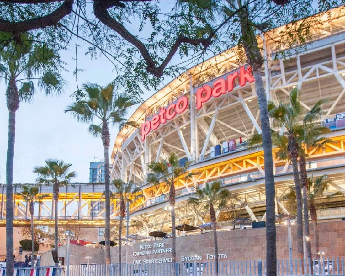 Night at the Ballpark
